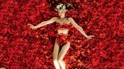 American Beauty Fragman
