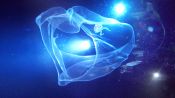 Aliens of the Deep Fragman
