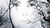 Premonition Fragman