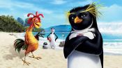 Surf's Up Fragman