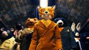 Fantastic Mr. Fox Fragman