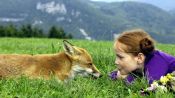The Fox and the Child Fragman