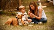 Like Dandelion Dust Fragman