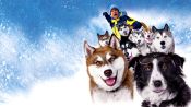 Snow Dogs Fragman