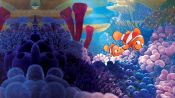 Finding Nemo Fragman