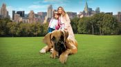 Chestnut: Hero of Central Park Fragman