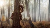 Where the Wild Things Are Fragman
