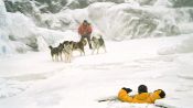 Eight Below Fragman