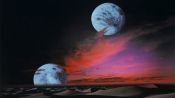 Dune Fragman