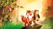 The Fox and the Hound Fragman