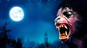 An American Werewolf in London Fragman