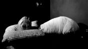 Eraserhead Fragman