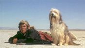 A Boy and His Dog Fragman