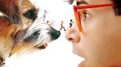 Honey, I Shrunk the Kids Fragman