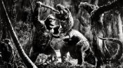 King Kong Fragman