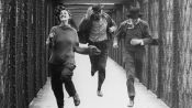 Jules and Jim Fragman