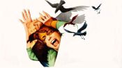 The Birds Fragman