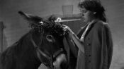 Au Hasard Balthazar Fragman