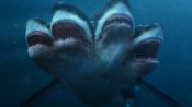 5-Headed Shark Attack Fragman