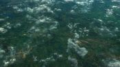 Earth: One Amazing Day Fragman