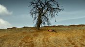 Ahlat Ağacı Fragman