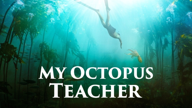 My Octopus Teacher