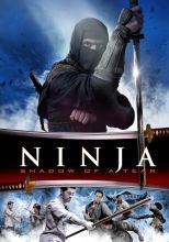 Ninja: Shadow of a Tear