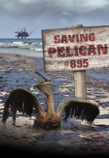 Saving Pelican 895