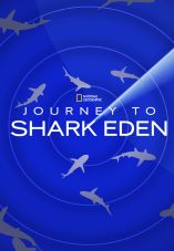 Journey to Shark Eden