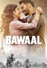 Bawaal