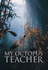 My Octopus Teacher