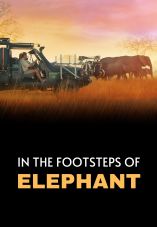 In the Footsteps of Elephant