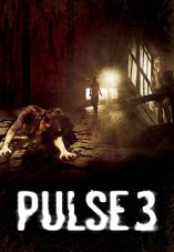 Pulse 3