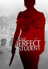 The Perfect Student