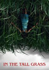 In the Tall Grass