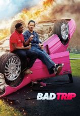 Bad Trip