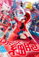 Cells at Work!