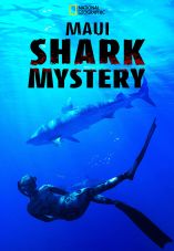 Maui Shark Mystery
