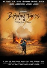 Bugday Tanesi