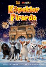 Dogs at the Opera