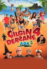 Çılgın Dersane Ada