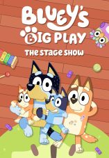 Bluey's Big Play