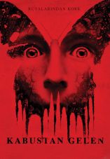 Before I Wake
