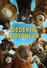 The Sheep Detectives