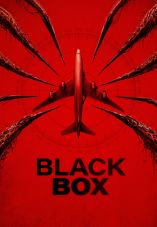 Black Box (Flight 298)