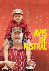 Avis de mistral