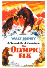 The Olympic Elk