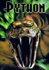 Python