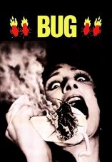Bug