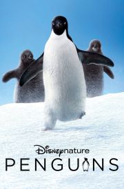 Penguins
